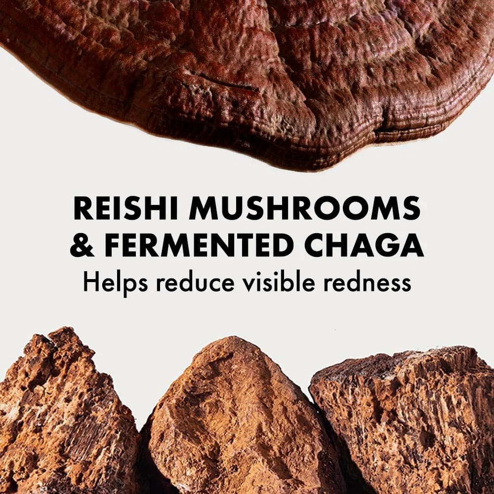 Origins Mega Mushroom Relief Resilience Soothing Treatment Lotion 3